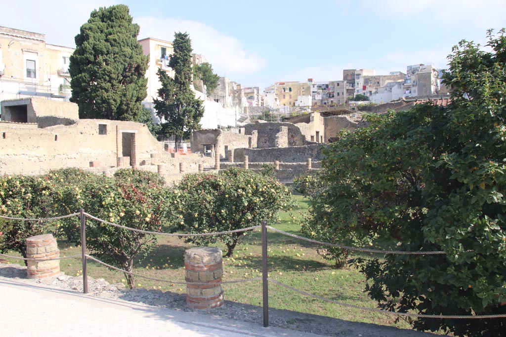 III.1 Herculaneum, October 2023.
Area 31, looking across garden area towards north-west corner. Photo courtesy of Klaus Heese.